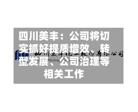 四川美丰：公司将切实抓好提质增效	、转型发展、公司治理等相关工作-第2张图片
