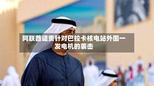 阿联酋谴责针对巴拉卡核电站外围一发电机的袭击-第2张图片