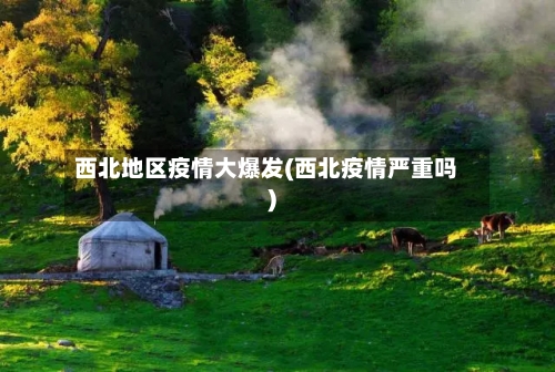 西北地区疫情大爆发(西北疫情严重吗)-第3张图片