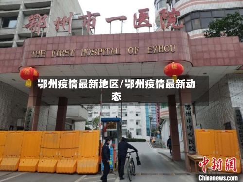 鄂州疫情最新地区/鄂州疫情最新动态-第3张图片