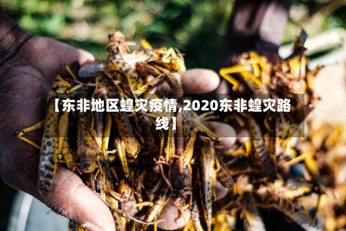 【东非地区蝗灾疫情,2020东非蝗灾路线】-第2张图片
