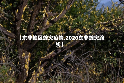 【东非地区蝗灾疫情,2020东非蝗灾路线】-第3张图片