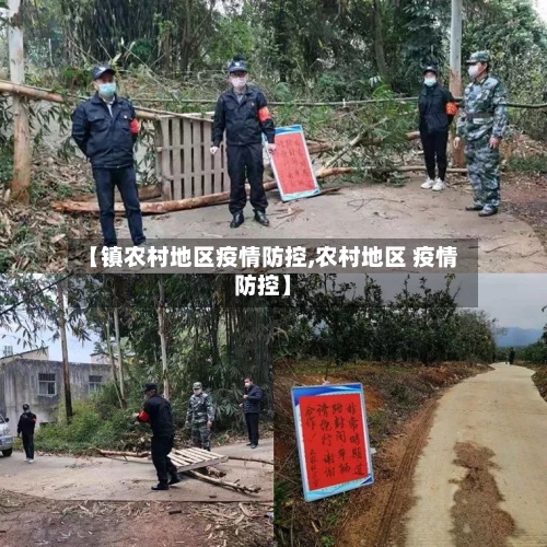 【镇农村地区疫情防控,农村地区 疫情防控】