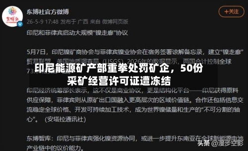 印尼能源矿产部重拳处罚矿企	，50份采矿经营许可证遭冻结-第2张图片