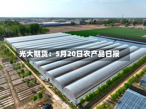光大期货：5月20日农产品日报-第3张图片