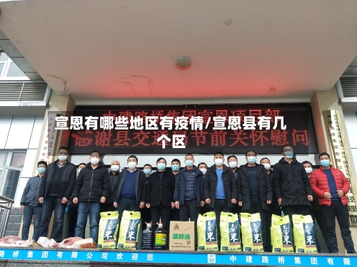 宣恩有哪些地区有疫情/宣恩县有几个区
