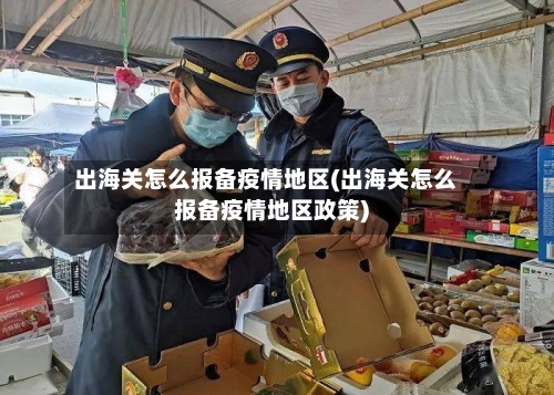出海关怎么报备疫情地区(出海关怎么报备疫情地区政策)