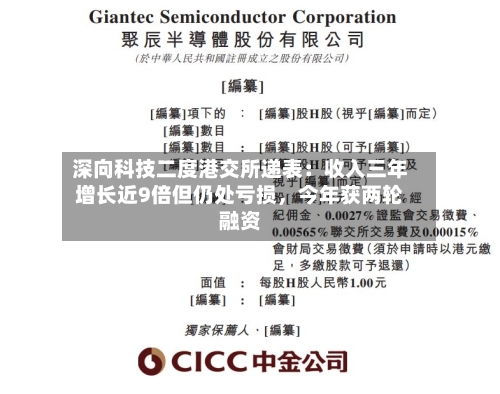 深向科技二度港交所递表：收入三年增长近9倍但仍处亏损，今年获两轮融资-第3张图片