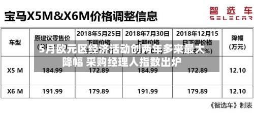 5月欧元区经济活动创两年多来最大降幅 采购经理人指数出炉