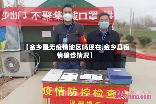 【金乡是无疫情地区吗现在,金乡县疫情确诊情况】-第2张图片