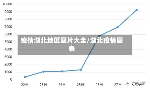 疫情湖北地区图片大全/湖北疫情图表-第3张图片