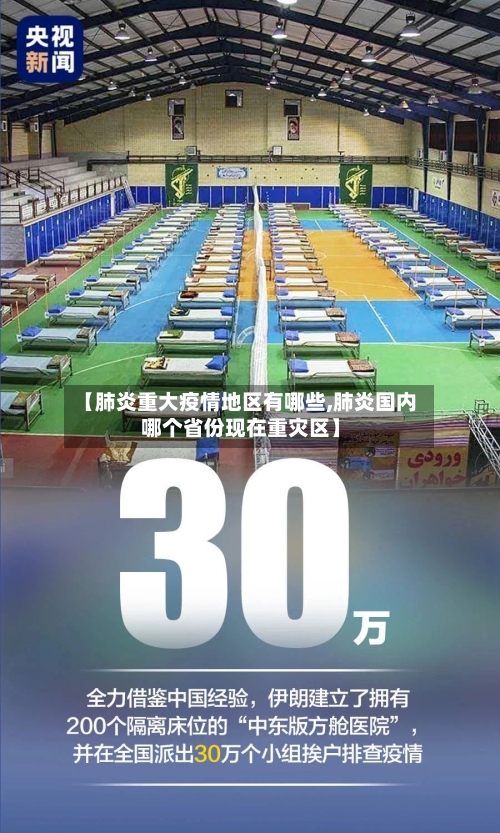 【肺炎重大疫情地区有哪些,肺炎国内哪个省份现在重灾区】