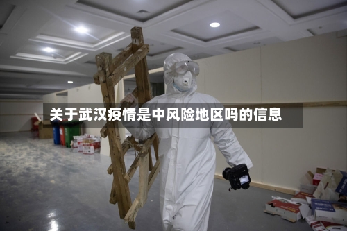 关于武汉疫情是中风险地区吗的信息