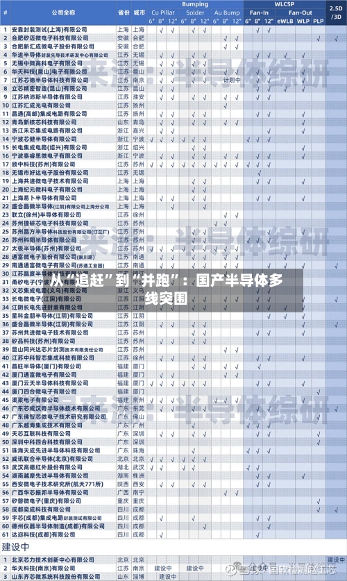 从“追赶”到“并跑”：国产半导体多线突围