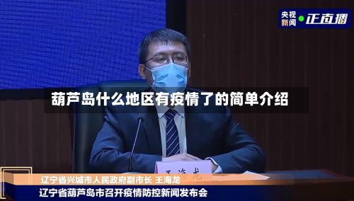 葫芦岛什么地区有疫情了的简单介绍