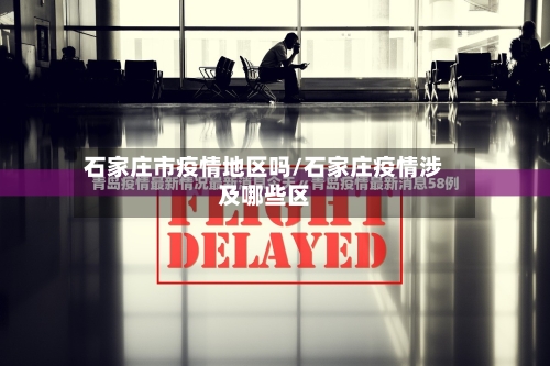 石家庄市疫情地区吗/石家庄疫情涉及哪些区-第3张图片