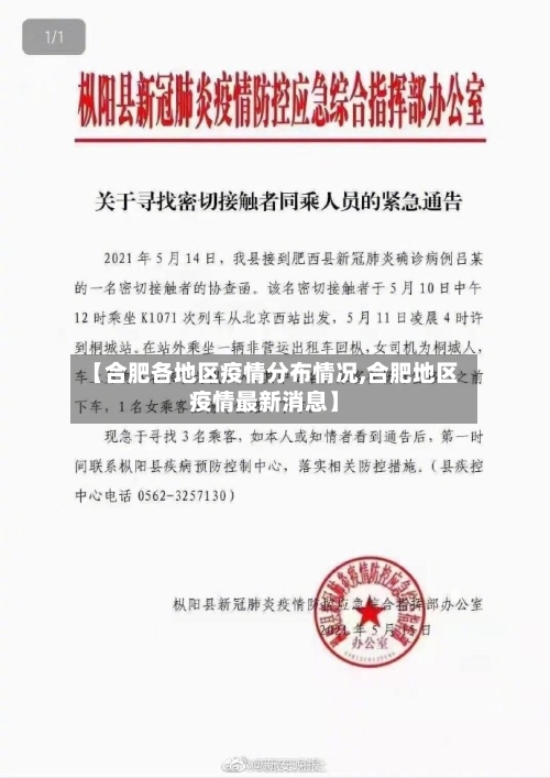 【合肥各地区疫情分布情况,合肥地区疫情最新消息】