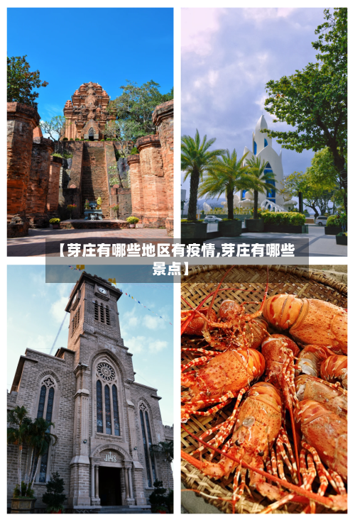 【芽庄有哪些地区有疫情,芽庄有哪些景点】