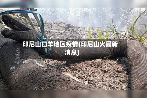 印尼山口羊地区疫情(印尼山火最新消息)-第3张图片