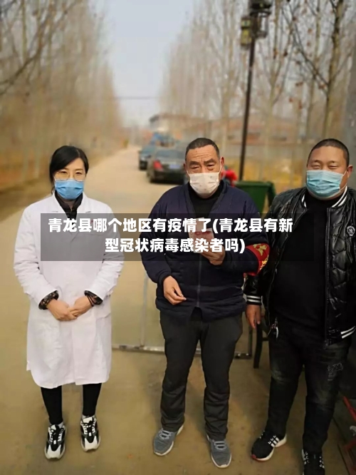 青龙县哪个地区有疫情了(青龙县有新型冠状病毒感染者吗)-第2张图片