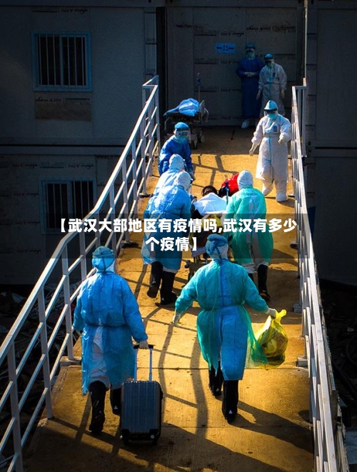 【武汉大部地区有疫情吗,武汉有多少个疫情】