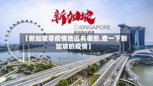 【新加坡零疫情地区有哪些,查一下新加坡的疫情】