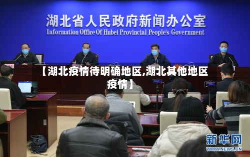 【湖北疫情待明确地区,湖北其他地区疫情】