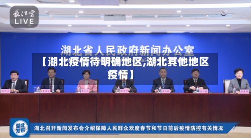 【湖北疫情待明确地区,湖北其他地区疫情】-第2张图片